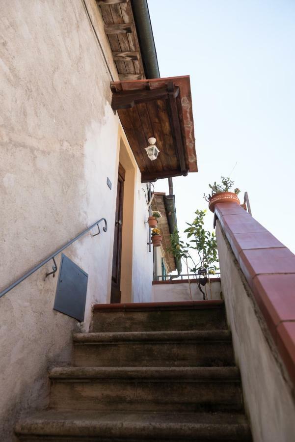 Villa Accasamia Terricciola Exterior foto